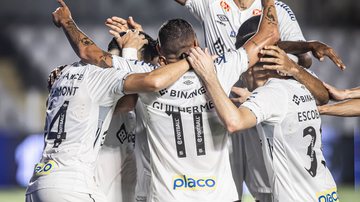 Santos vence Brusque pela Série B - Flickr Santos / Raul Baretta