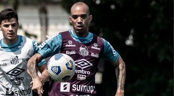 Tardelli pede apoio da torcida e prega foco no Santos: “É questão de momento” - Ivan Storti/Santos FC/ Flickr