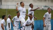 Santos homenageia Pelé na Copinha - Reprodução / Twitter