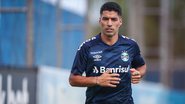Luis Suárez estreia e pode conquistar o 1º título pelo Grêmio - Lucas Uebel/ Grêmio/ Flickr