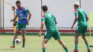 Lelê já treinou com o elenco do Fluminense nesta quinta-feira - Marcelo Gonçalves/FFC