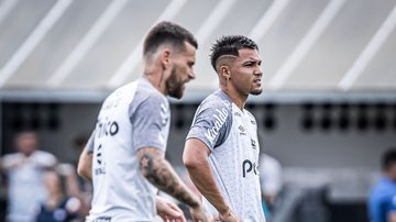 Santos não quer perder mais ninguém do elenco - Raul Baretta / Santos FC / Flickr