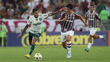 Fluminense x Palmeiras - Cesar Greco / Palmeiras / Flickr