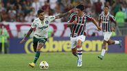 Fluminense x Palmeiras - Cesar Greco / Palmeiras / Flickr