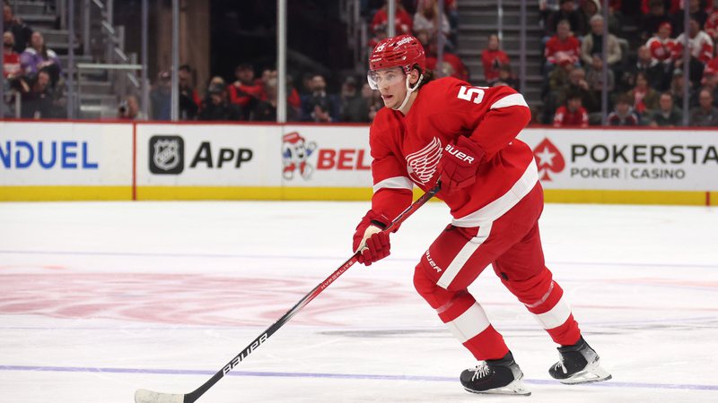 Detroit Red Wings - Getty Images