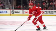 Detroit Red Wings - Getty Images