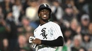Tim Anderson - Getty Images