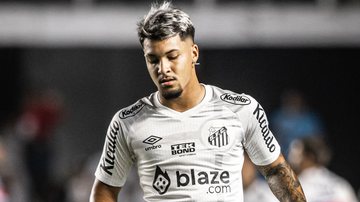 Santos é rebaixado para a Série B pela primeira vez - Raul Baretta/Santos FC/Flickr