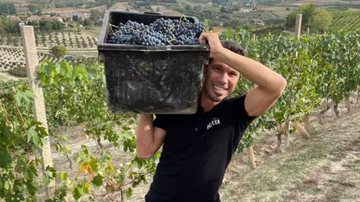 Aposentado, Hernanes produz vinho na Itália - Reprodução