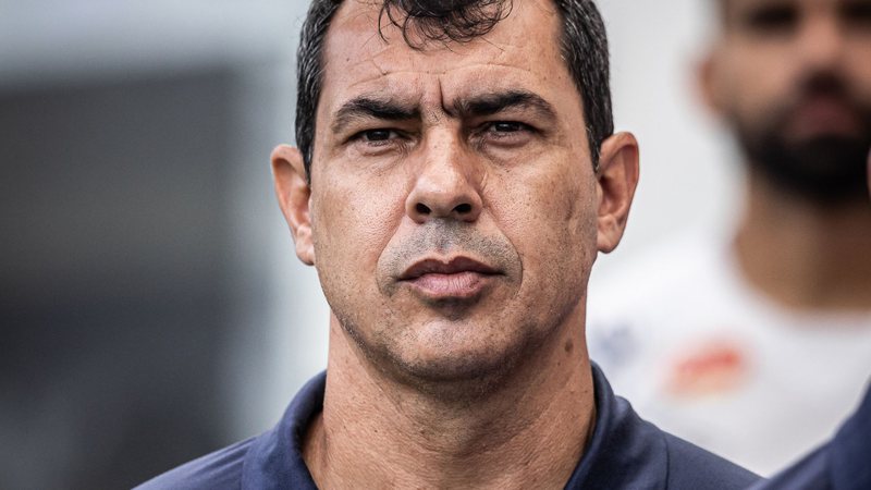Carille, técnico do Santos - Raul Baretta/Santos FC/Flickr