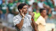 Palmeiras encaminha mais dois reforços para 2024 - Flickr Palmeiras / Cesar Greco