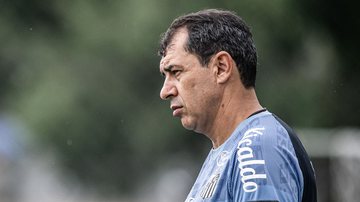 Carille, técnico do Santos - Raul Baretta/Santos FC/Flickr