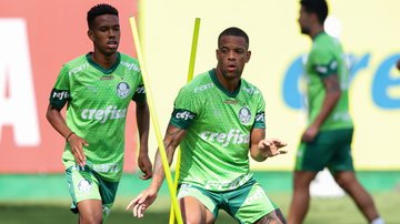 De olho na final do Paulista, Palmeiras deve poupar na Libertadores - Fabio Menotti / Palmeiras
