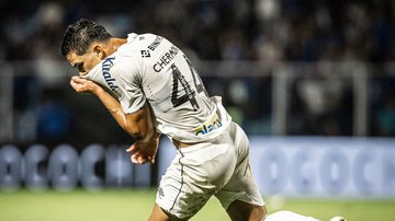 Santos supera Avaí e segue 100% na Série B do Brasileirão - Raul Baretta/ Santos FC