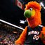 Burnie, mascote do Miami Heat, estará na NBA House