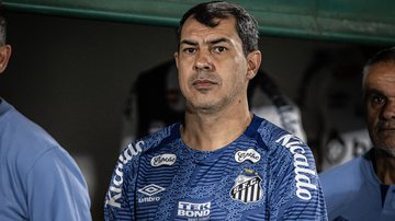 Carille ameniza novo tropeço do Santos na Série B - Flickr Santos / Raul Baretta
