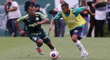 Joia da base do Palmeiras brilha em jogo-treino - Palmeiras / César Greco