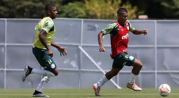 Elenco do Palmeiras treina visando Libertadores - Divulgação Palmeiras / César Greco