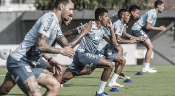 Santos segue treinando no CT Rei Pelé - Ivan Storti / Santos FC / Fotos Públicas