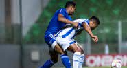 Cruzeiro empata contra o CSA em Alagoas - Bruno Haddad/Cruzeiro/Fotos Públicas