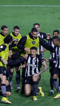 Soco em árbitro e mais: Botafogo avança!