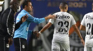 Fernando Diniz estava suspenso e não comandou o Santos - Ivan Storti / Santos FC / Flickr