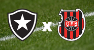 Botafogo x Brasil de Pelotas: data, horário e onde assistir - GettyImages/ Divulgação