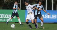 Botafogo empata com grêmio na última rodada do Brasileirão feminino - Instagram: @botafogofeminino