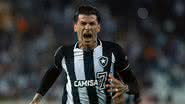 Botafogo conseguiu vencer na rodada - Vítor Silva / Botafogo / Flickr