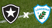 Botafogo e Londrina vão se enfrentar pela série B do Brasileirão - GettyImages/Divulgação