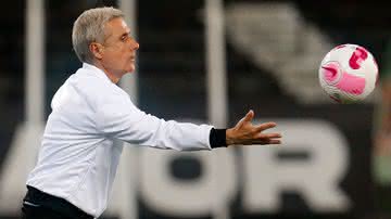 Botafogo x Palmeiras ficou marcado por uma atuação corajosa da equipe de Luís Castro - Vitor Silva/ Botafogo
