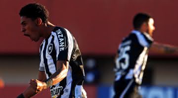 Jogadores do Botafogo comemorando o gol - Reprodução/Twitter Botafogo - Vitor Silva