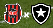 Brasil de Pelotas e Botafogo se enfrentam pela 36ª rodada da Série B - Getty Images