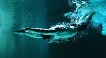 12 itens indispensáveis para a prática de esportes aquáticos - Reprodução/Getty Images