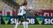 Jogador em fim de contrato deve ser o capitão do Palmeiras na final da Libertadores - Getty Images