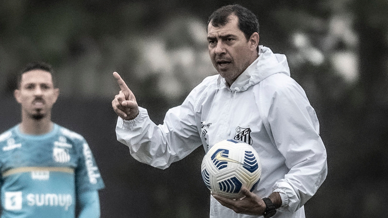 Carille durante treinamento do Santos - Ivan Storti/Santos FC / Flickr