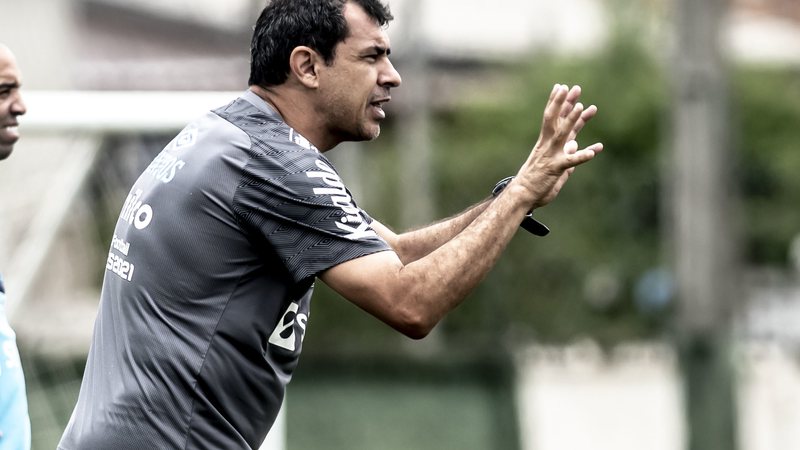 Santos vive fase de recuperação sob o comando de Carille - Ivan Storti / Santos FC / Flickr