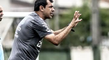 Santos vive fase de recuperação sob o comando de Carille - Ivan Storti / Santos FC / Flickr
