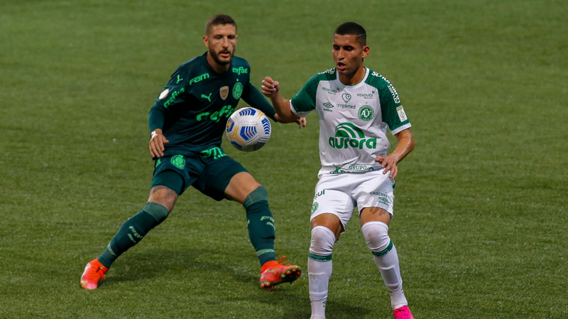 Chapecoense declara torcida ao Palmeiras no Mundial - Getty Images