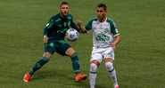 Chapecoense declara torcida ao Palmeiras no Mundial - Getty Images