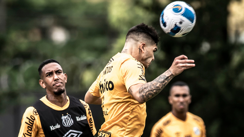 Santos segue se preparando para a estreia - Ivan Storti / Santos FC / Flickr