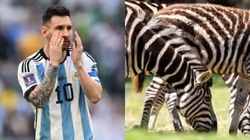 A Copa do Mundo tem tido as suas zebras e chamou a atenção dos torcedores nas redes sociais - GettyImages