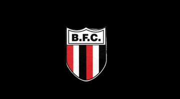 Clube paulista corta direito de imagem do elenco sem negociar e vinte deles entram com medida extrajudicial - Divulgação/Botafogo-SP