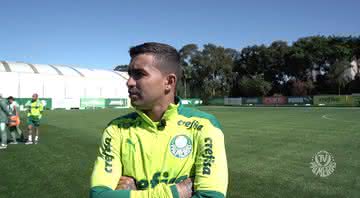 Palmeiras: Dudu é registrado no BID e pode ser relacionado por Abel Ferreira - YouTube/ Palmeiras TV