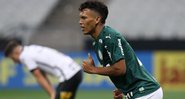 Palmeiras vence o Corinthians por 2x0 - Cesar Greco/Palmeiras