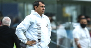Fábio Carille, treinador do Santos - GettyImages