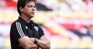 Fernando Diniz é o novo treinador do Santos e encara o Boca Juniors na estreia - GettyImages