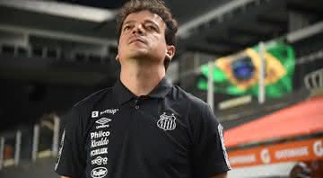Fernando Diniz aprova e Santos acerta contratação de meia do Internacional - Ivan Storti/Santos FC