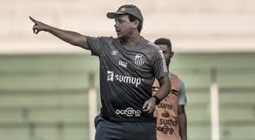 Fernando Diniz chegou recentemente ao Santos - Ivan Storti / Santos FC / Flickr