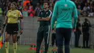 Fernando Diniz não ficou feliz com a derrota do Fluminense no Brasileirão - Mailson Santana/Fluminense